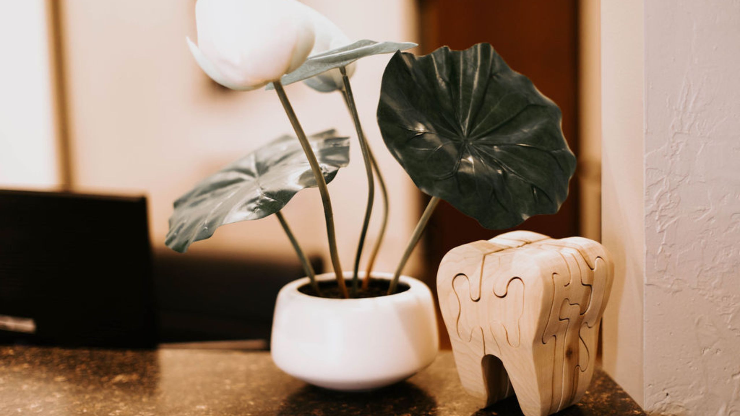 Austgen Family Dental 1405 W County Line Rd Ste. A, Greenwood, IN 46142, United States